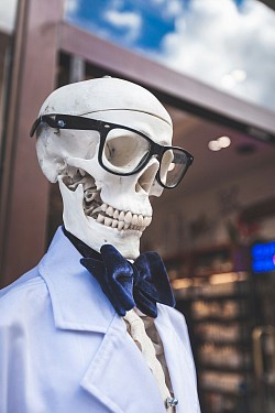 Skeletton